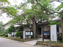 石川県伝統産業工芸館